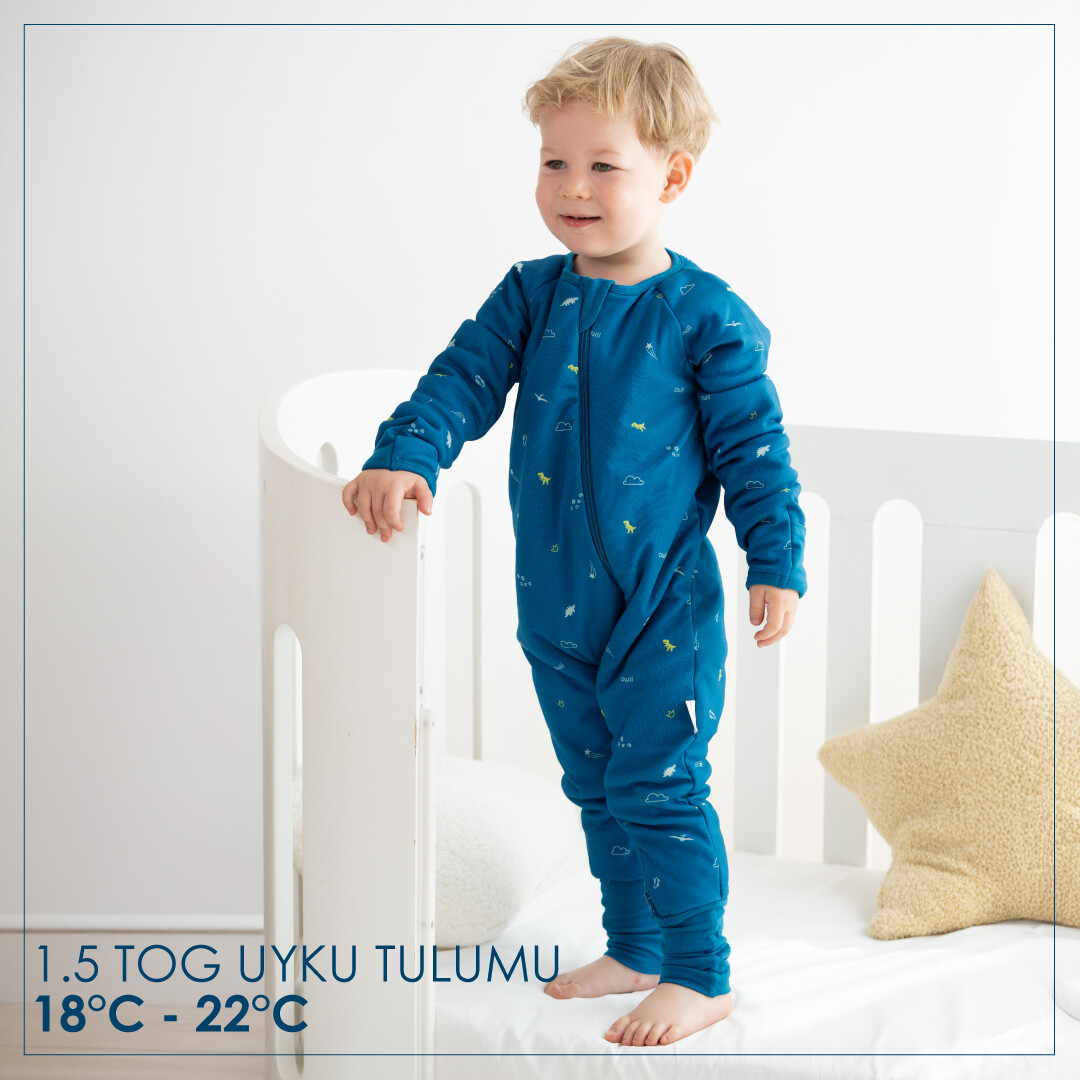 Owli Uyku Tulumu 1.5 Tog