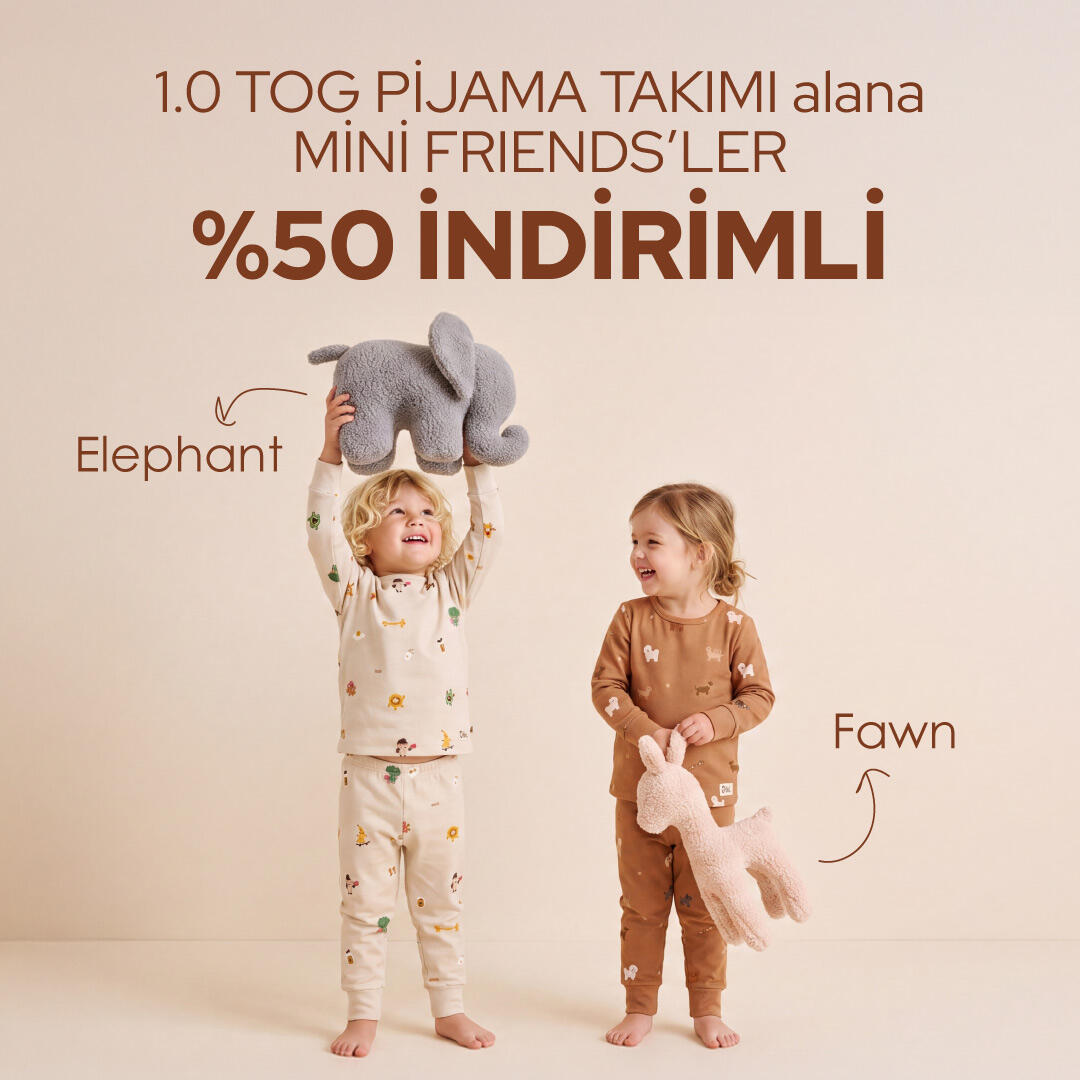 pj-mini