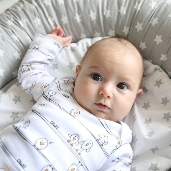 Owli Bebek Body 3'lü Set Early Birds - 4