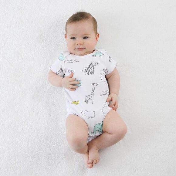 Owli Bebek Body 3'lü Set Zoo Zoo - 1