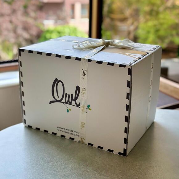 Owli First Steps Bundle - 7