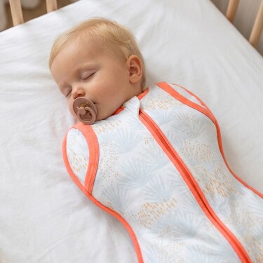 Owli Kundak Palm Springs - Owli