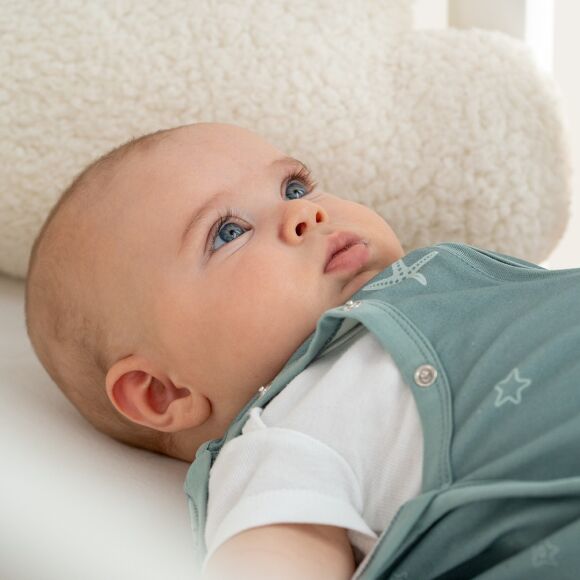 Owli Kundak / Uyku Tulumu Starfish - 3