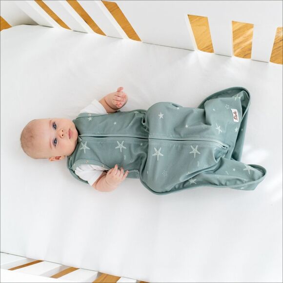 Owli Kundak Starfish - 2