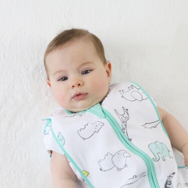 Owli Uyku Gurusu 0.3 Tog Zoo Zoo - 6