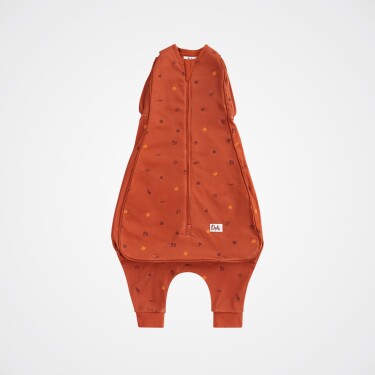 Owli Uyku Gurusu 1.5 Tog Charm - 7