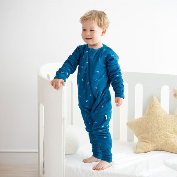 Owli Uyku Tulumu 1.5 Tog Dino - 1